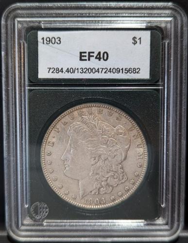 PXL_20241116_025453470.MP